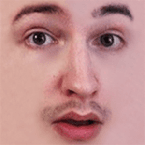 Rotpilz